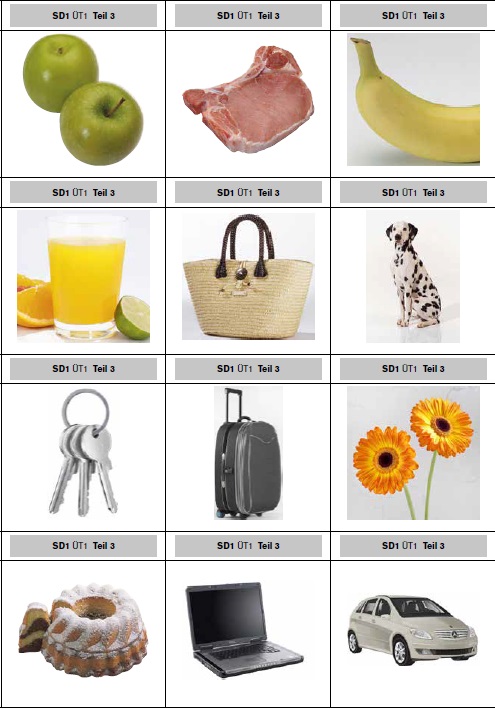 Telc ispit iz nemačkog jezika usmeni treća vežba