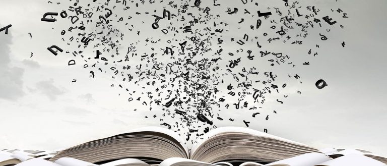 N-deklinacija u nemačkom jeziku - Mein und Dein